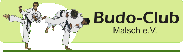 Website bc-malsch.de